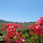 Hotel La Collina Di Bargiano - Casa Raffaella *