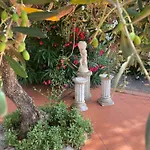 La Collina Di Bargiano - Casa Raffaella *