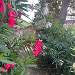 La Collina Di Bargiano - Casa Raffaella * Allerona