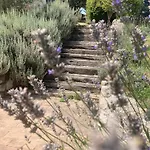Hotel La Collina Di Bargiano - Casa Raffaella *