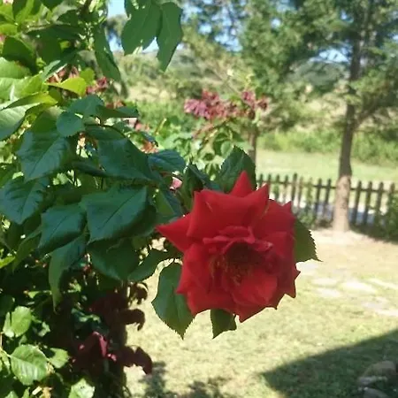 Hotel La Collina Di Bargiano - Casa Raffaella *