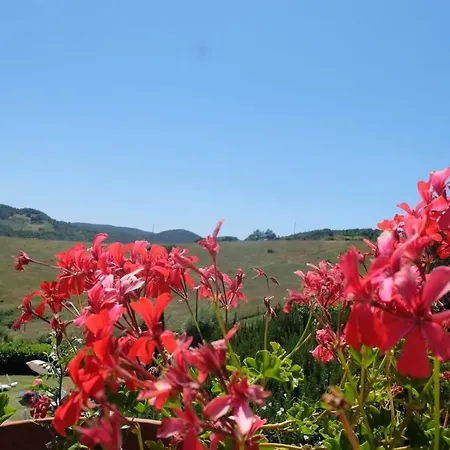 Hotel La Collina Di Bargiano - Casa Raffaella *