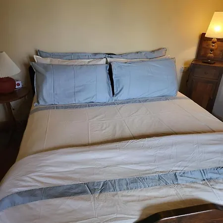 Farmház La Collina Di Bargiano - Casa Raffaella Allerona