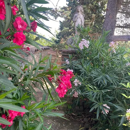 La Collina Di Bargiano - Casa Raffaella * Allerona
