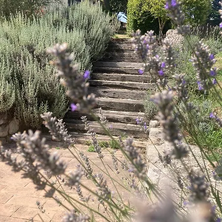 Alloggio per agriturismo La Collina Di Bargiano *