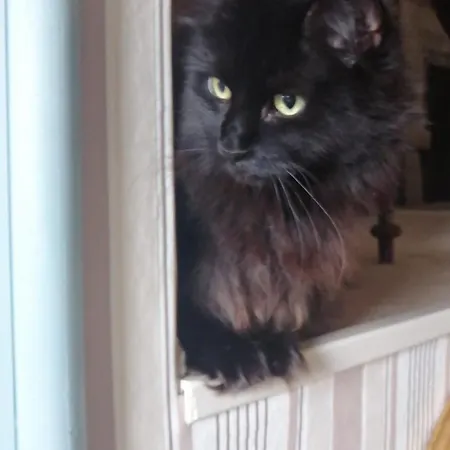 Farmház La Collina Di Bargiano - Casa Raffaella *