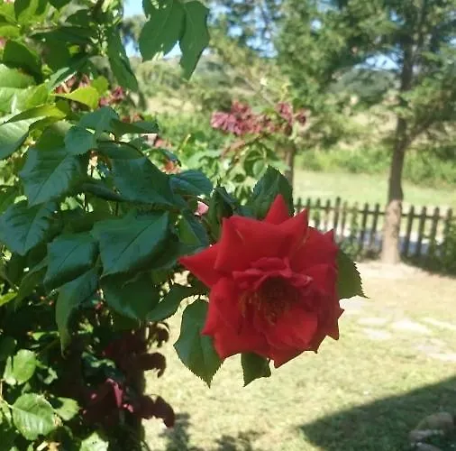 Отель Country House La Collina Di Bargiano - Casa Raffaella *