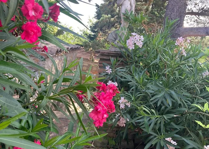 Country House La Collina Di Bargiano - Casa Raffaella * Allerona