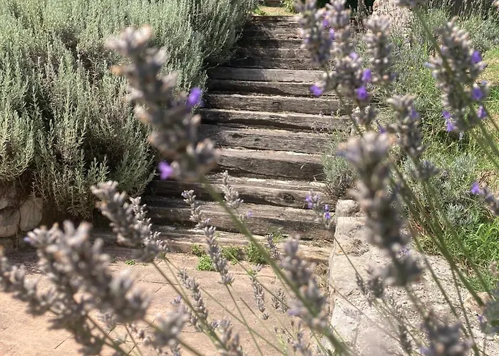 Отель Country House La Collina Di Bargiano - Casa Raffaella *