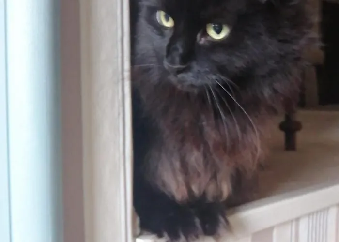 Hotel Country House La Collina Di Bargiano - Casa Raffaella *