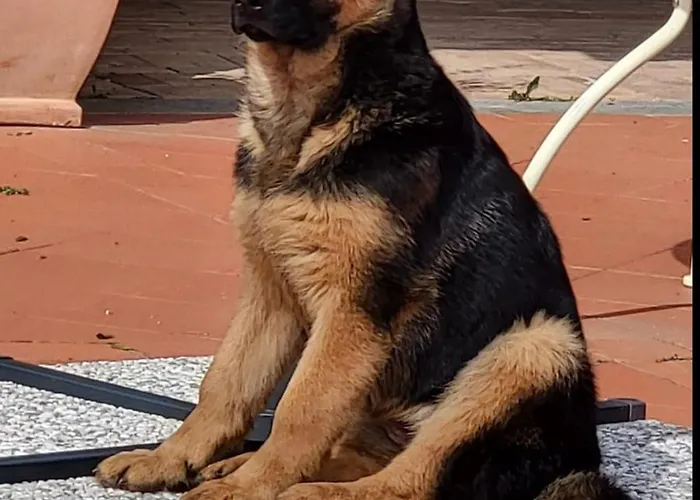 Hotel Country House La Collina Di Bargiano - Casa Raffaella *